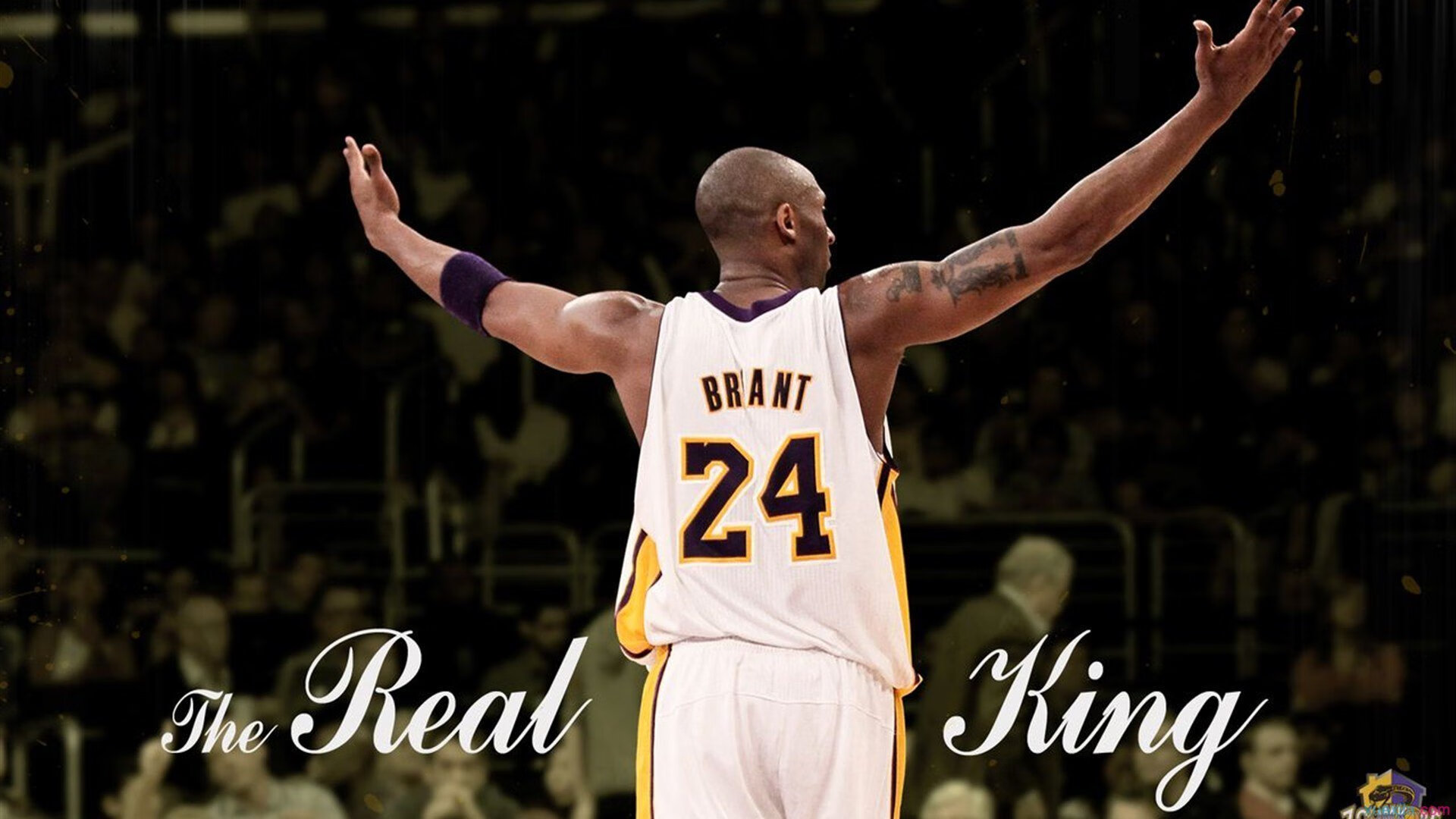 广州篮球场馆升级改造，提供更优质的训练环境，广州篮球体育馆